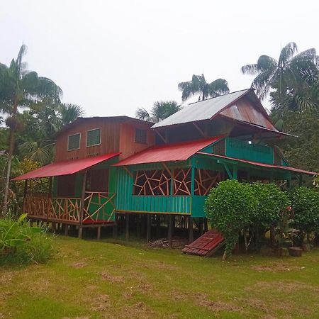 Hostal Buho Amazonas Tours 레티시아 외부 사진