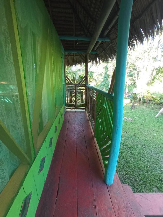 Hostal Buho Amazonas Tours 레티시아 외부 사진