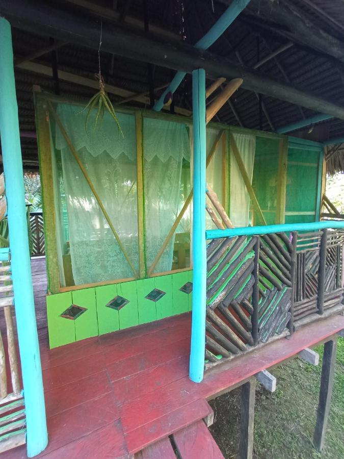 Hostal Buho Amazonas Tours 레티시아 외부 사진