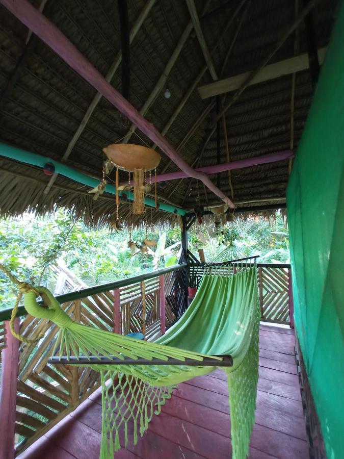 Hostal Buho Amazonas Tours 레티시아 외부 사진