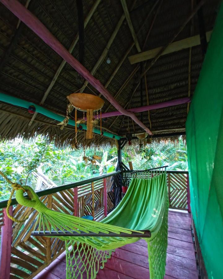 Hostal Buho Amazonas Tours 레티시아 외부 사진