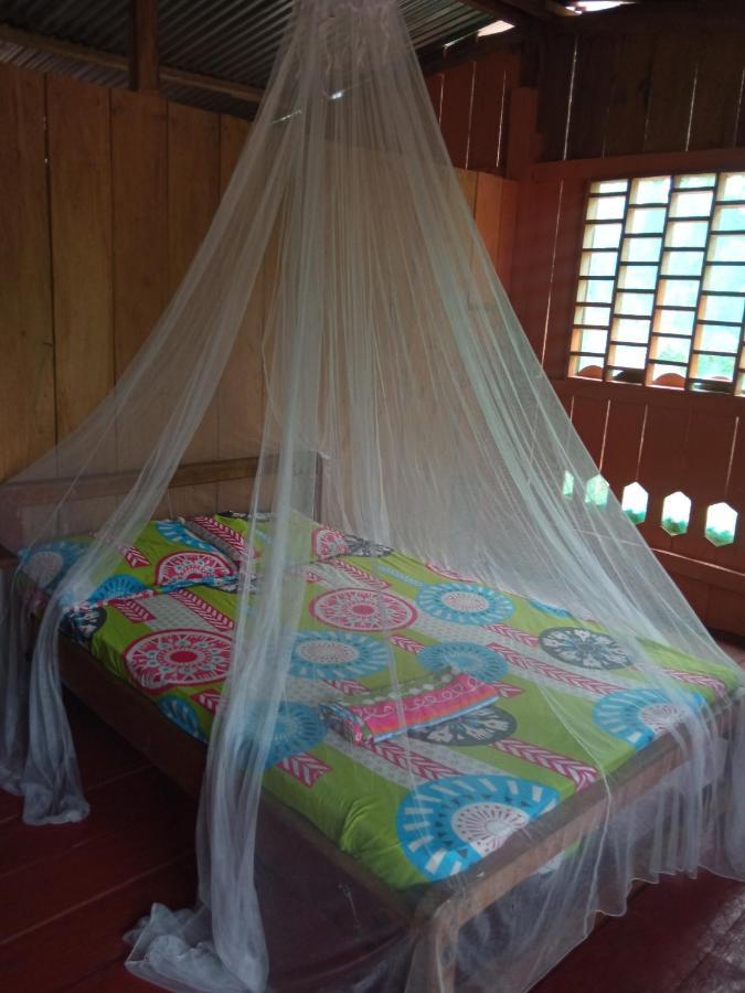 Hostal Buho Amazonas Tours 레티시아 외부 사진