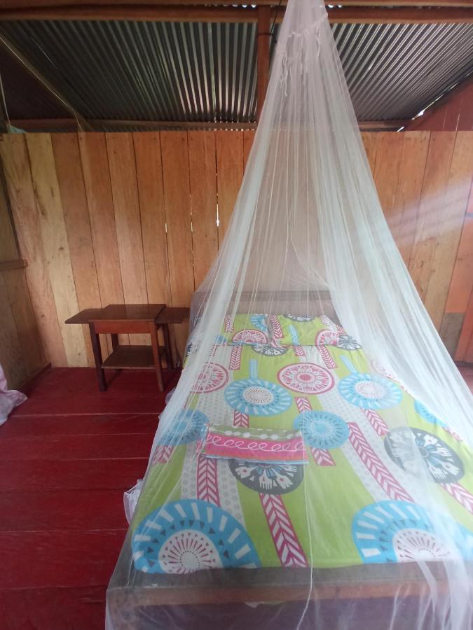 Hostal Buho Amazonas Tours 레티시아 외부 사진