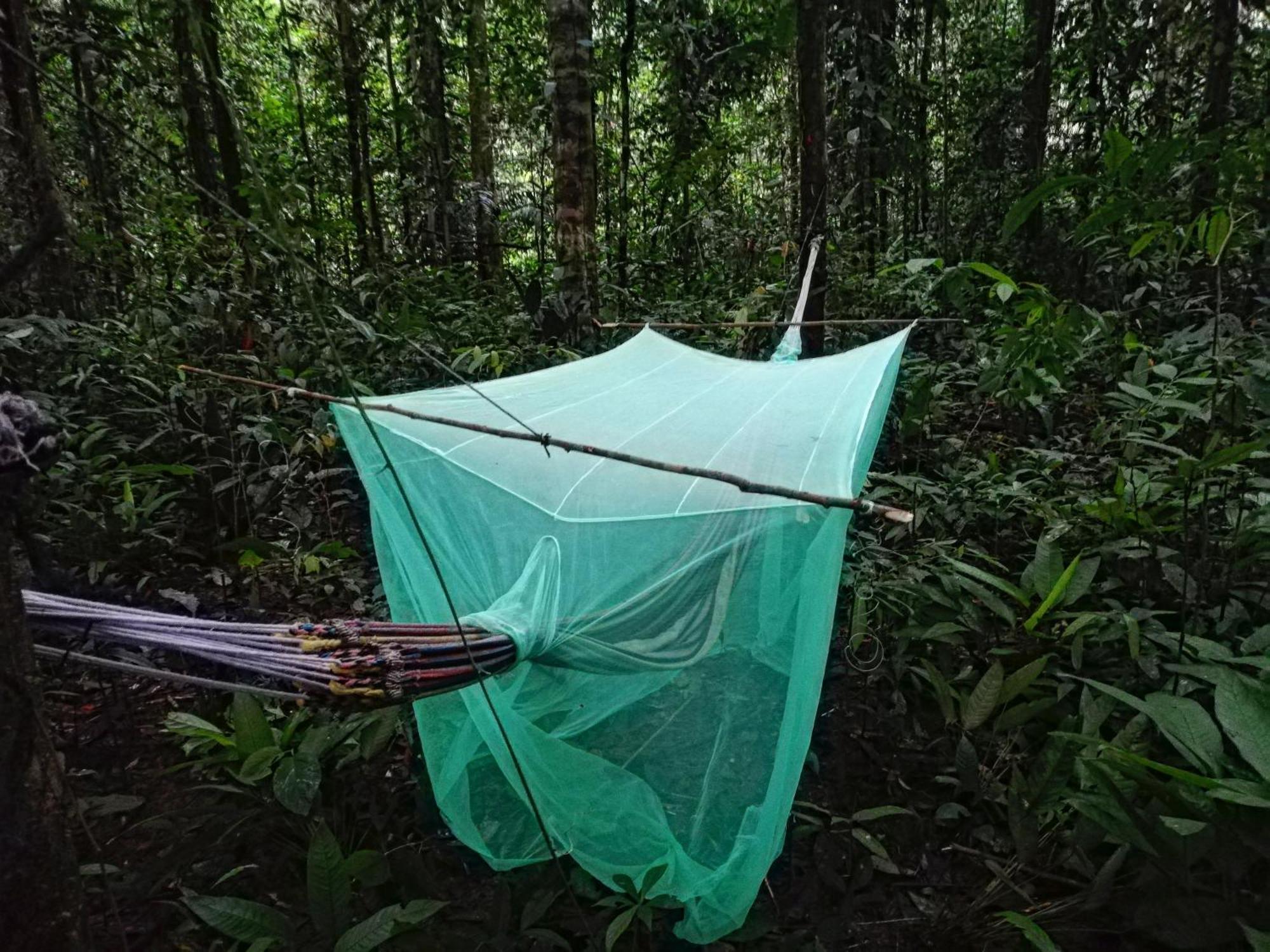 Hostal Buho Amazonas Tours 레티시아 외부 사진