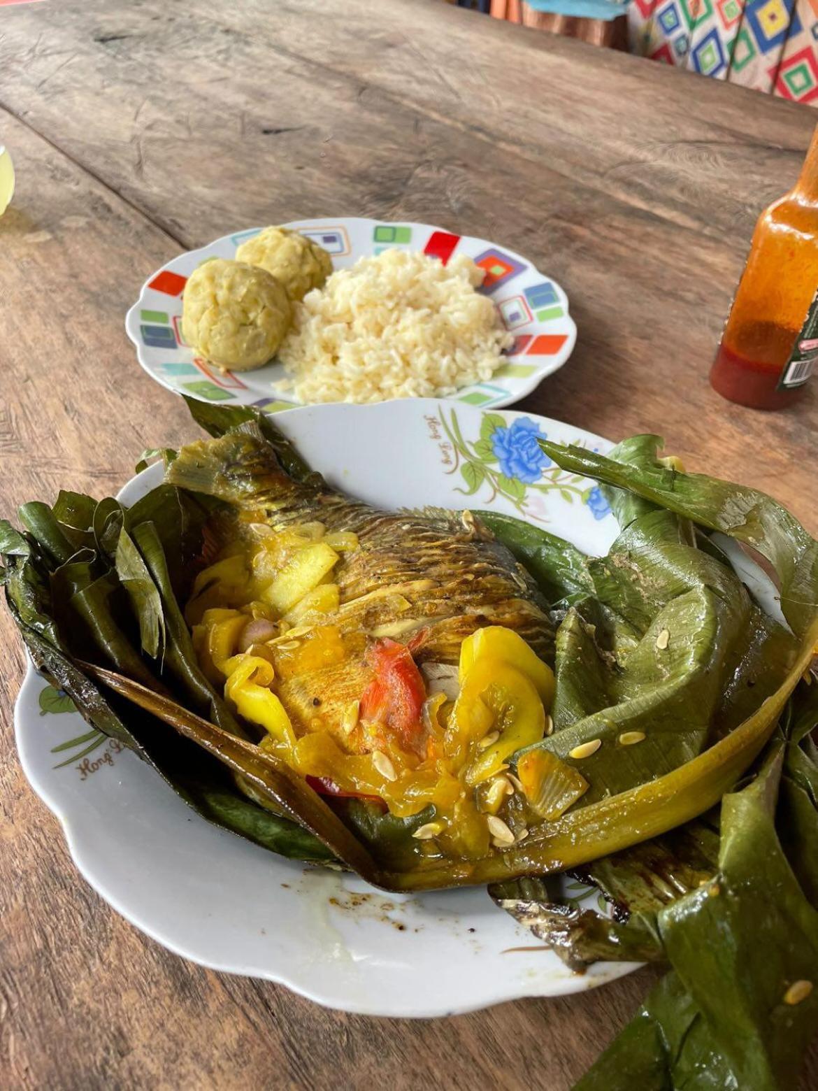 Hostal Buho Amazonas Tours 레티시아 외부 사진