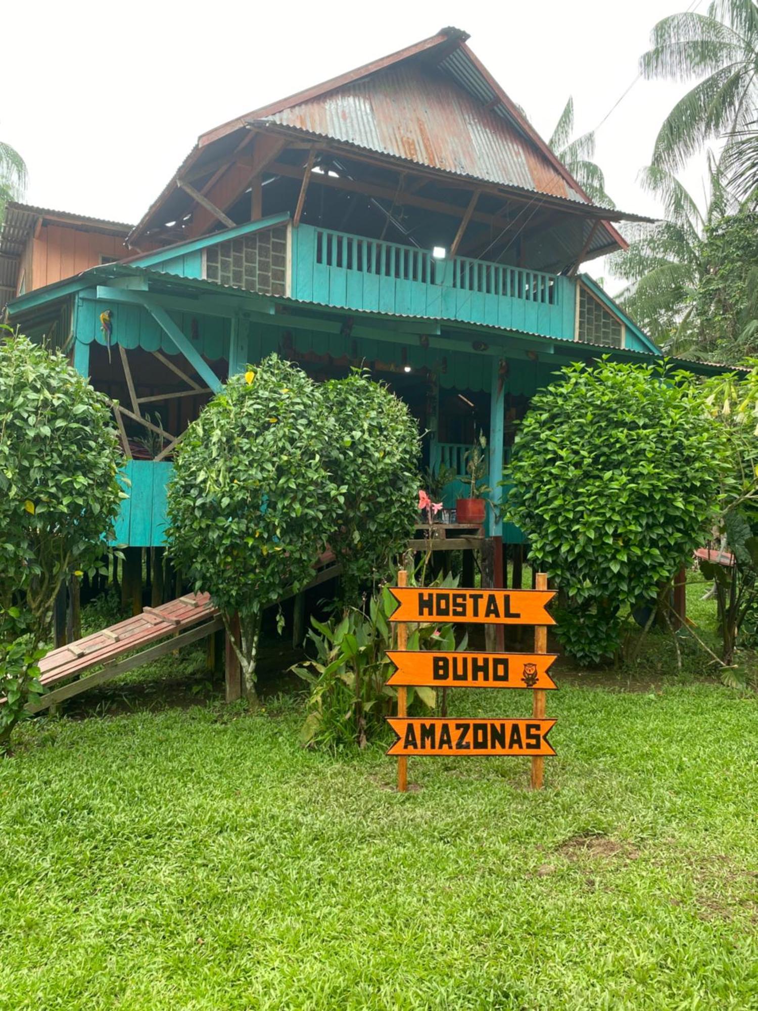 Hostal Buho Amazonas Tours 레티시아 외부 사진