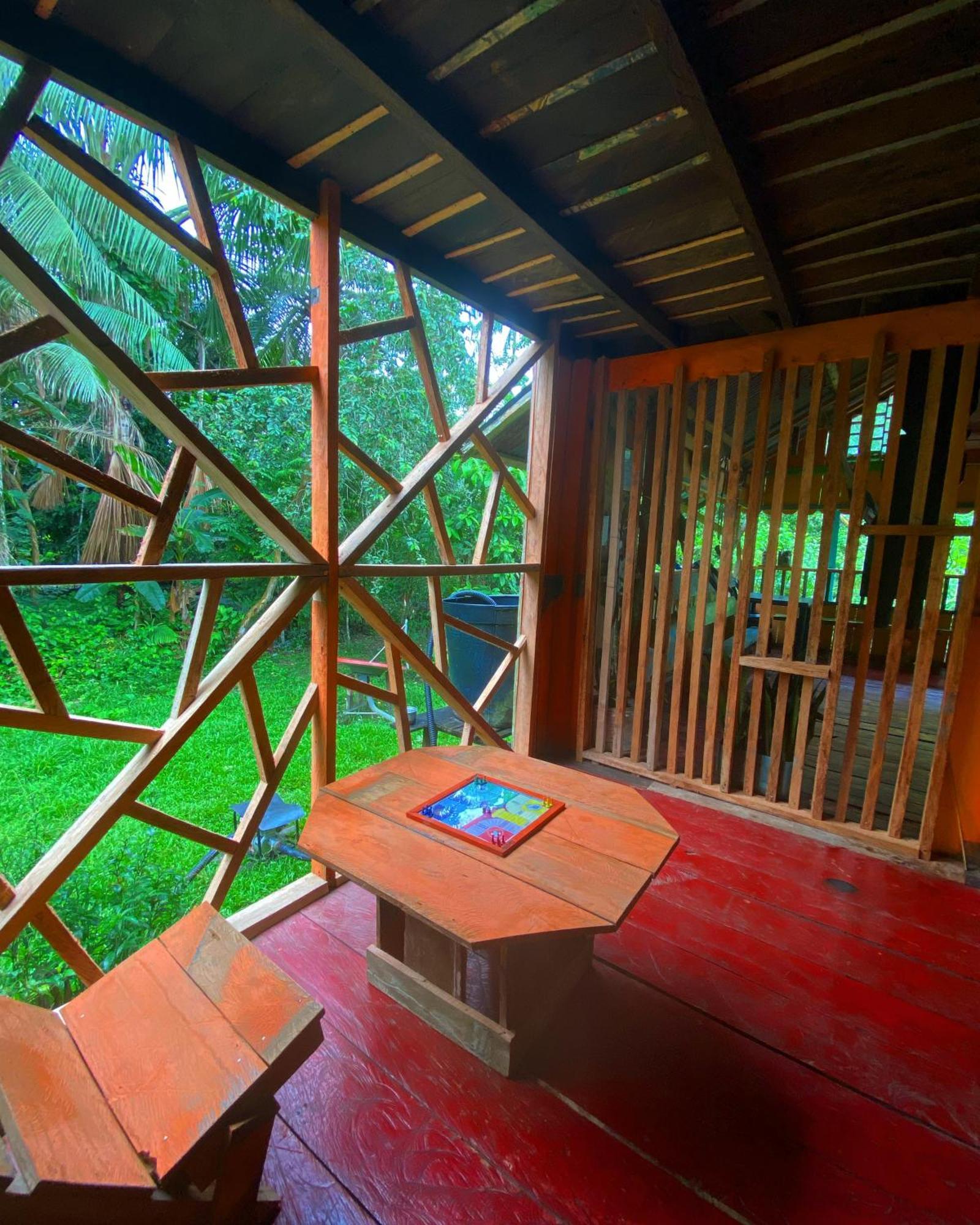 Hostal Buho Amazonas Tours 레티시아 외부 사진