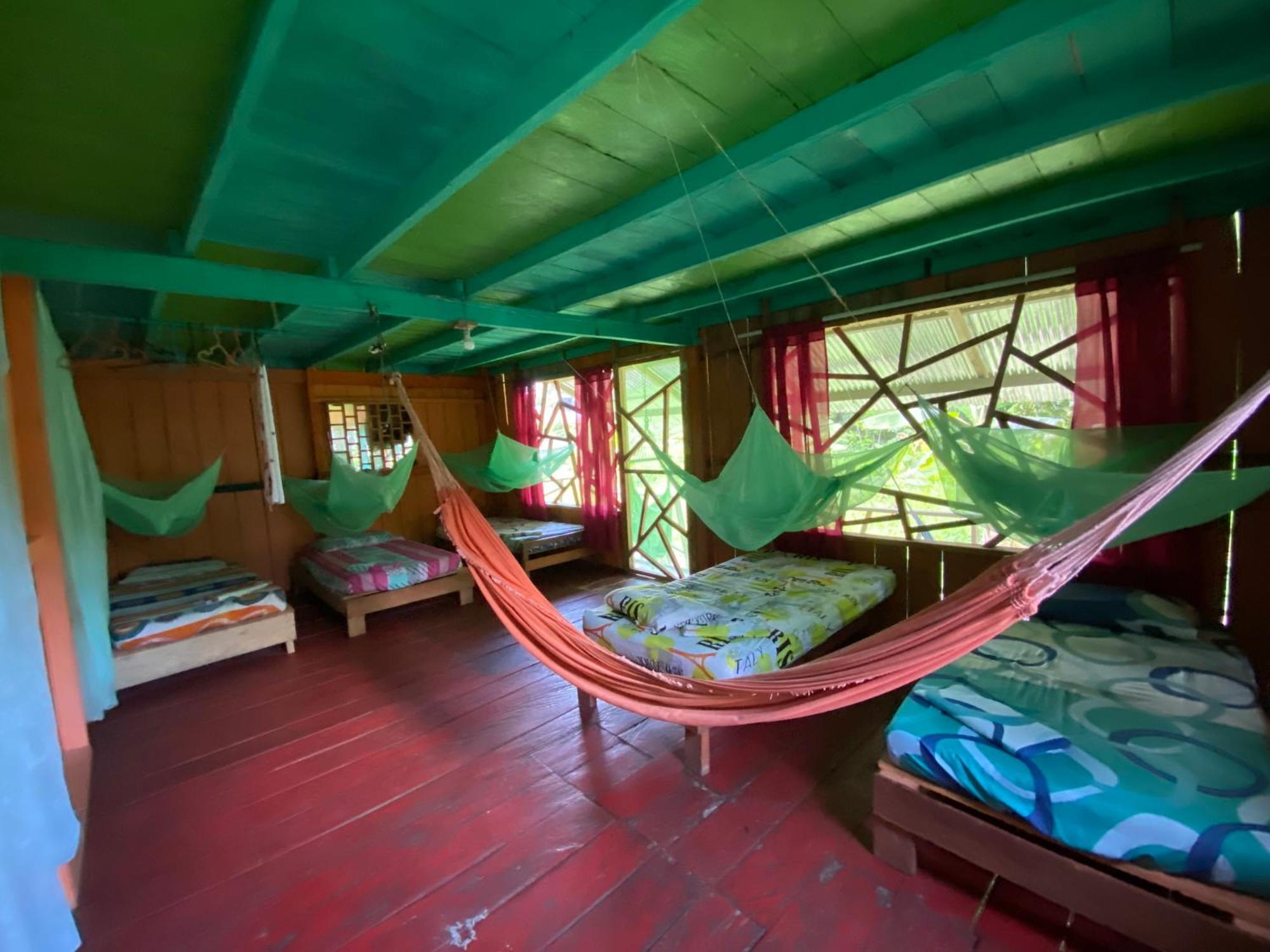 Hostal Buho Amazonas Tours 레티시아 외부 사진
